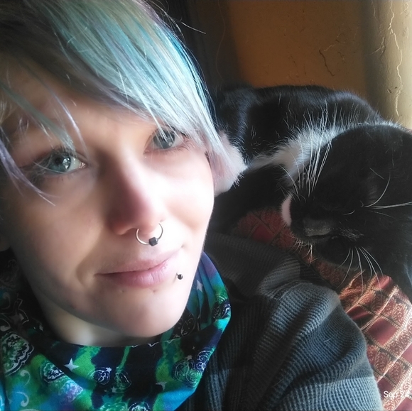 Meet your Posher, Beano - Picture 4 of 8